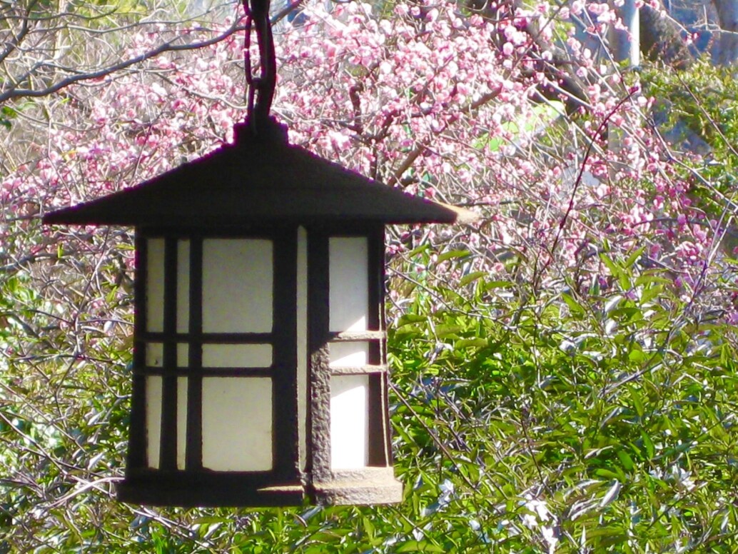 Usui Reiki Level 1